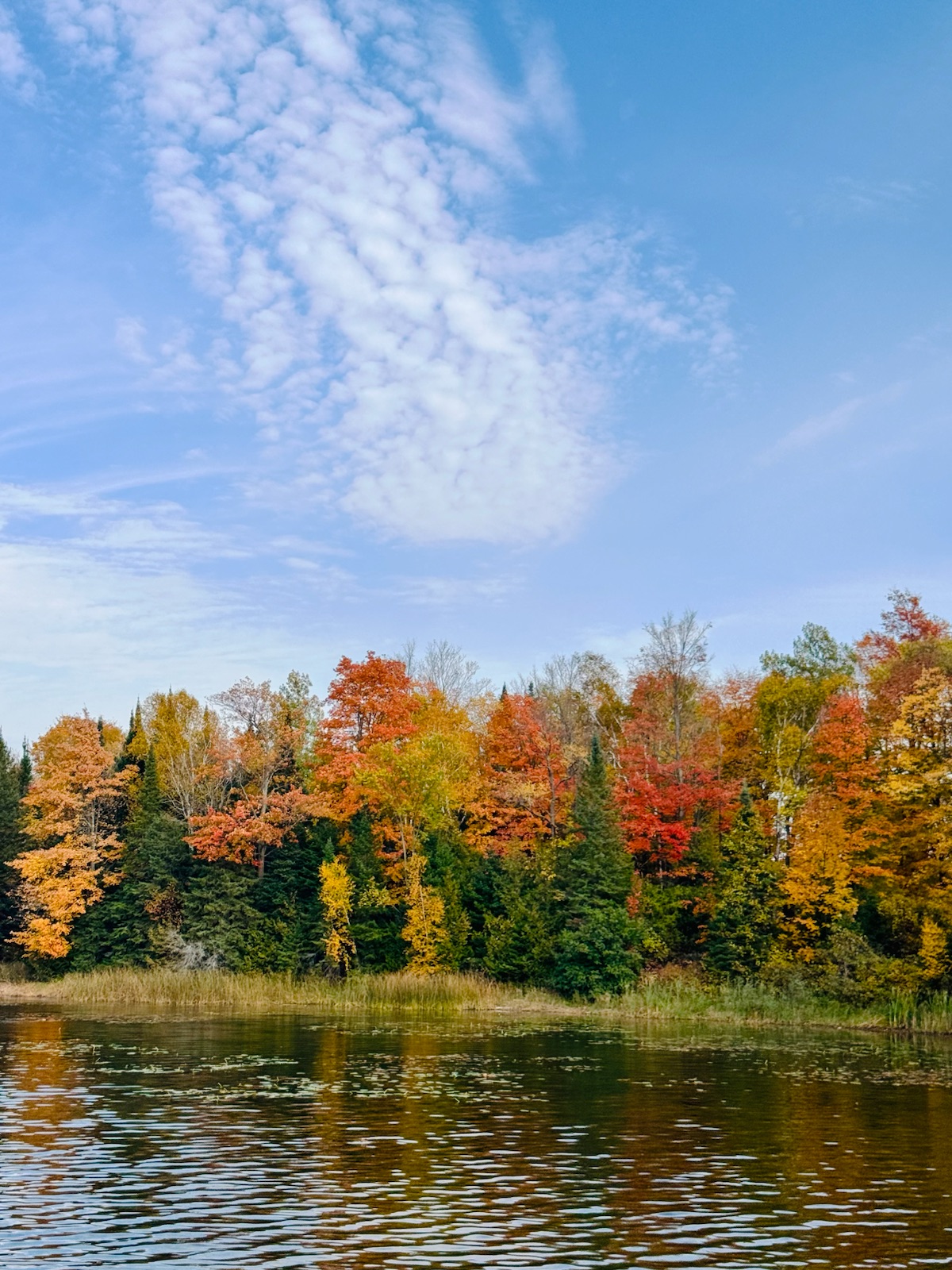 Orange and green trees along a still lake under a blue sky