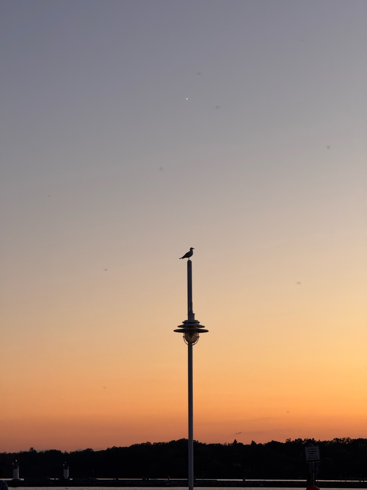A bird on top of a tall pole against an orange sunset
